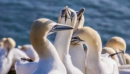 彩票合买-九游体育官方网站——开启体育娱乐新纪元的全方位体验